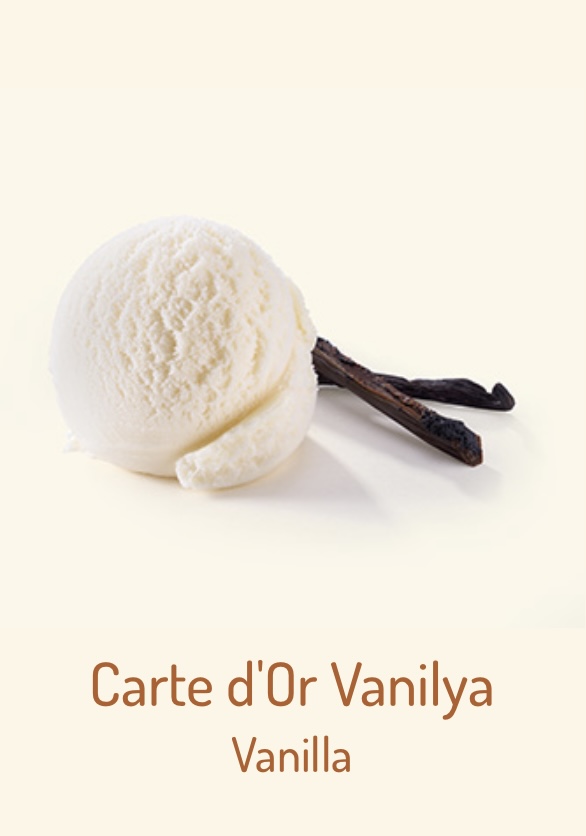 Vanilia ice cream